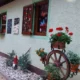 Zunanjo urejenost koče gre pripisati kar Tini Pogačar, ki skrbi tudi za cvetoče lončnice. Foto: Vesna Levičnik